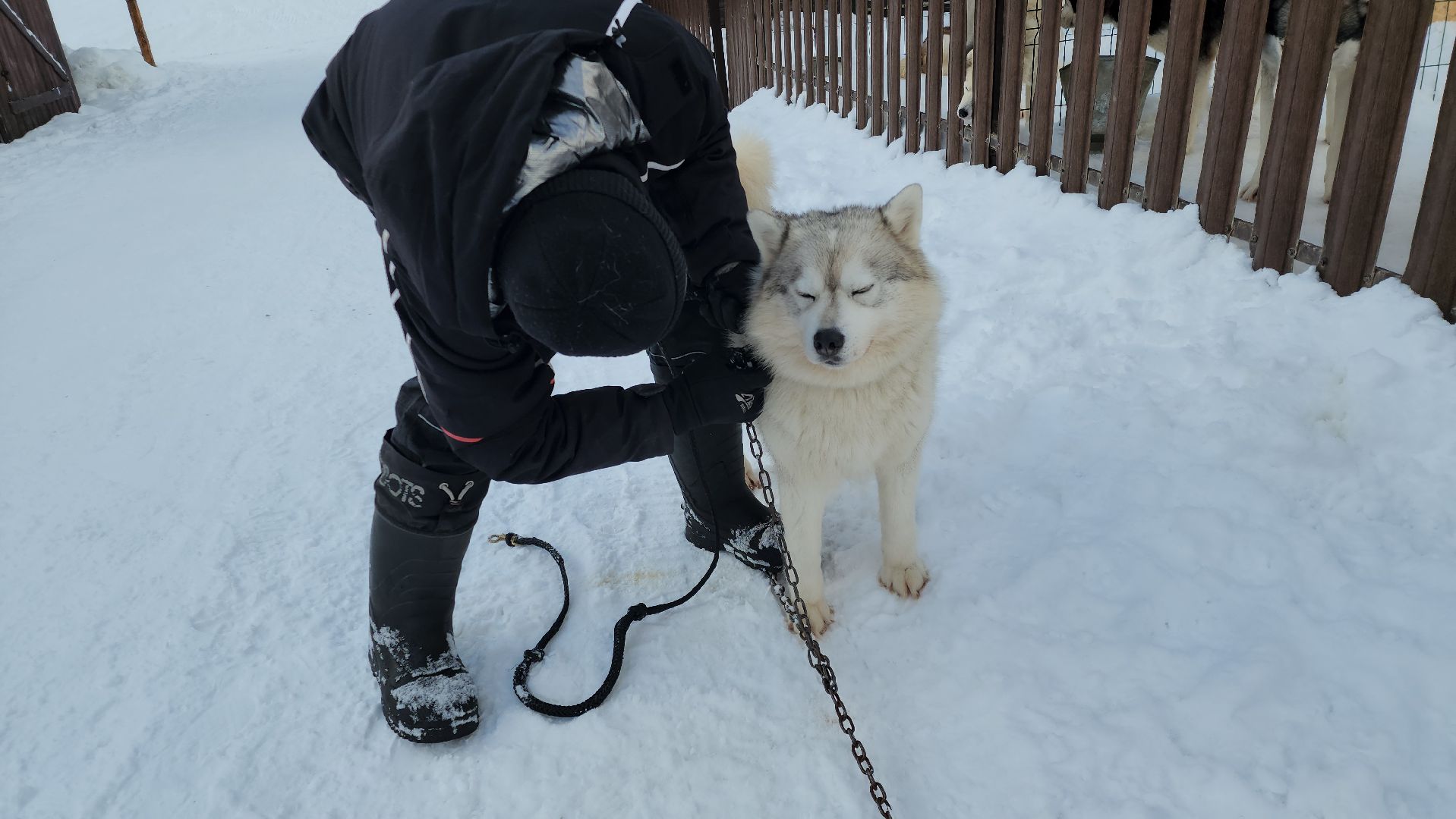 туризм в подмосковье, зима 2024, зима в подмосковье, руза, глэмпинг, рузский городской округ, московская область,