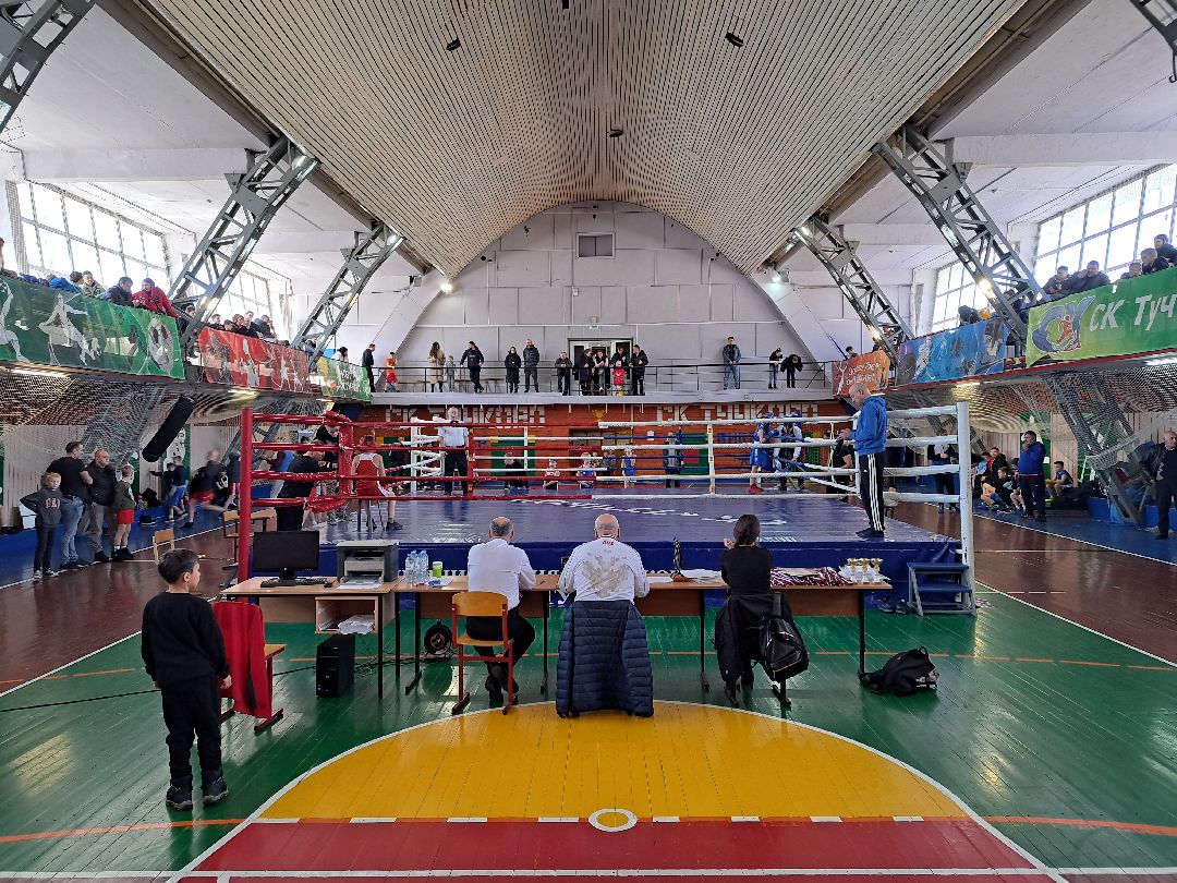 Спорт Бокс Первенство