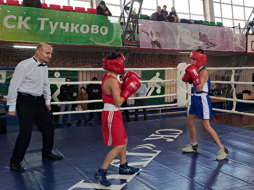 Спорт Бокс Первенство