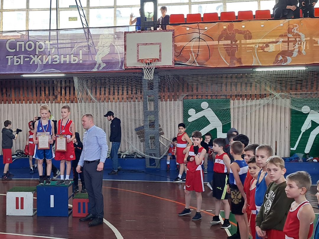 Спорт Бокс Первенство