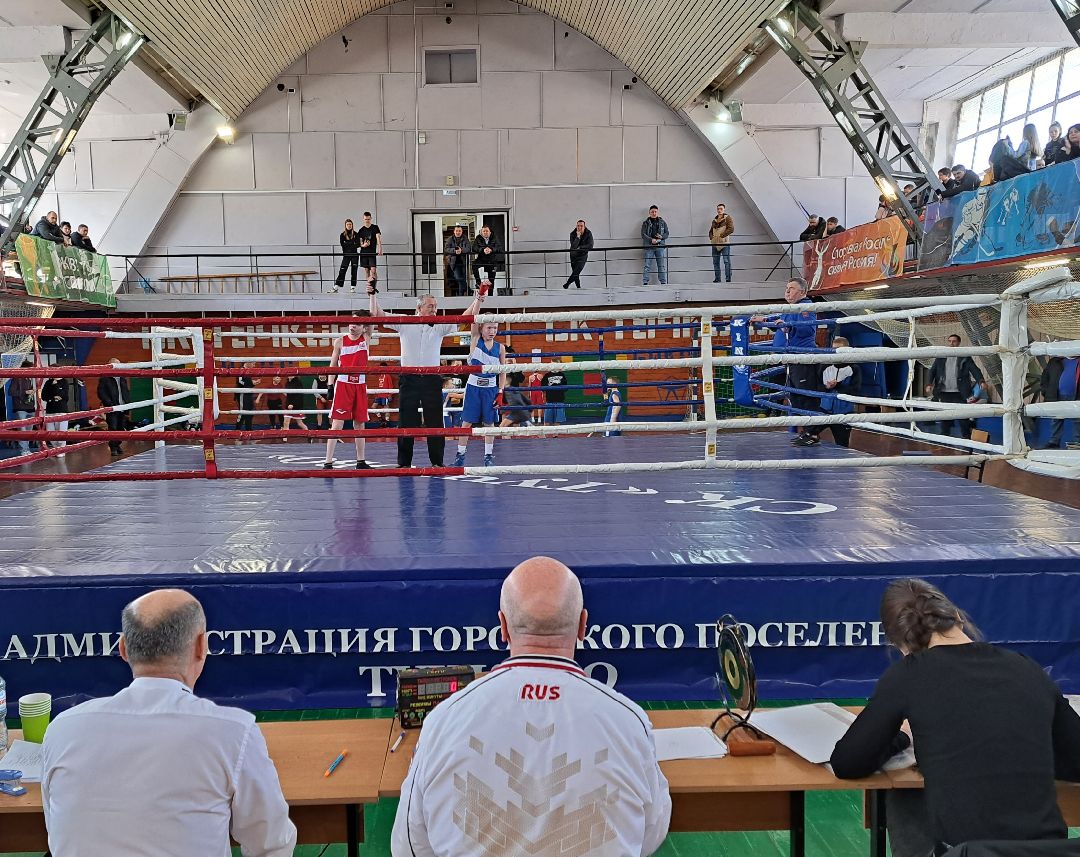 Спорт Бокс Первенство