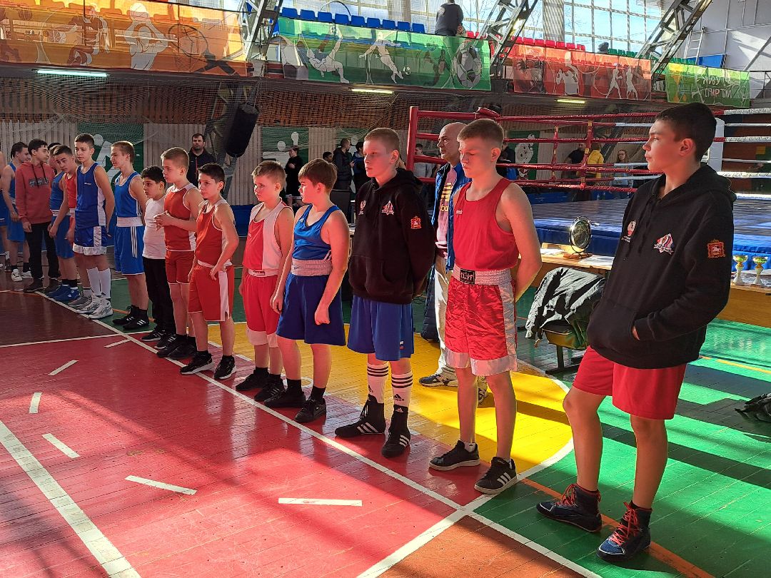 Спорт Бокс Первенство