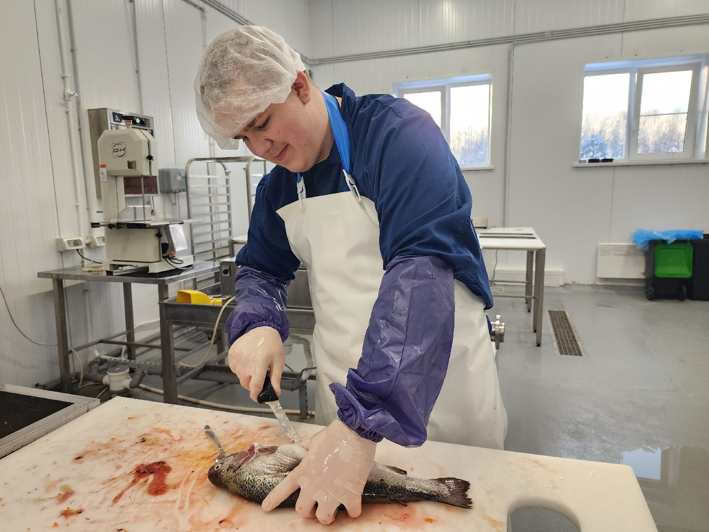 производство, рыба,