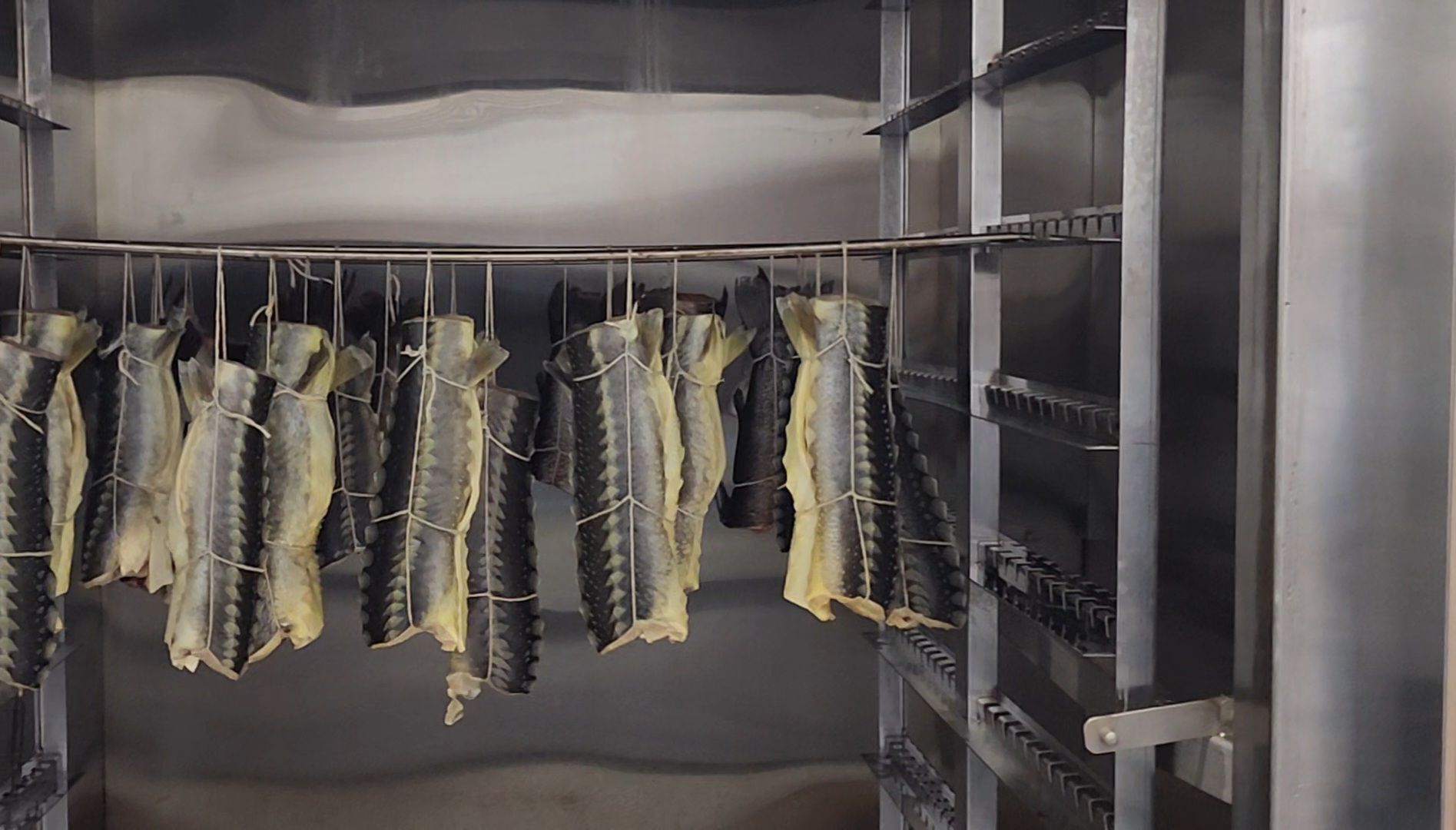 производство, рыба,