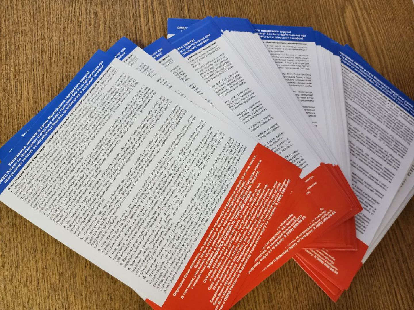 можайск, можайский городской округ, подмосковье, выборы, президент, выборы президента 2024, информаторы, обучение, жители,