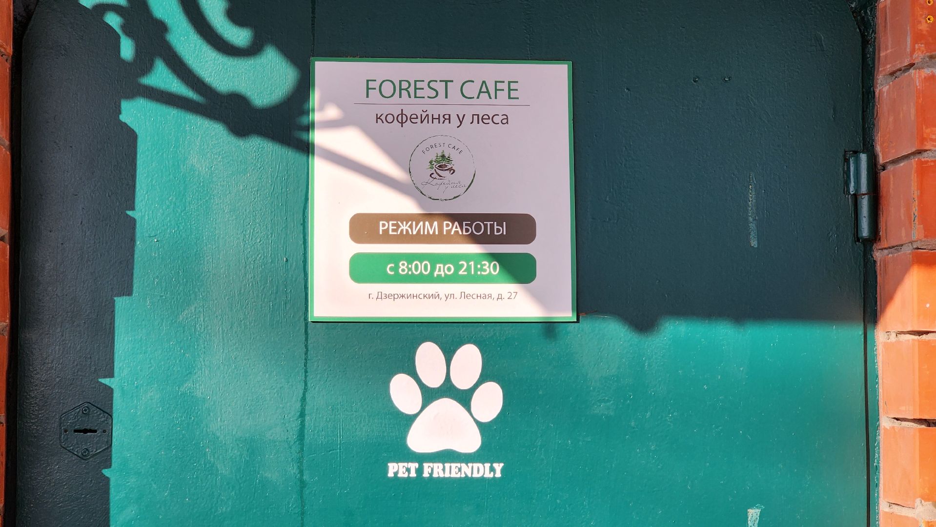 еда, туризм, Томилинский лесопарк,