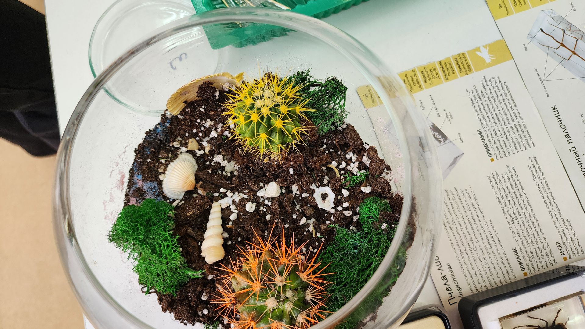 Егорьевск, Подмосковье, московская область, Выставка-форум, Наука,