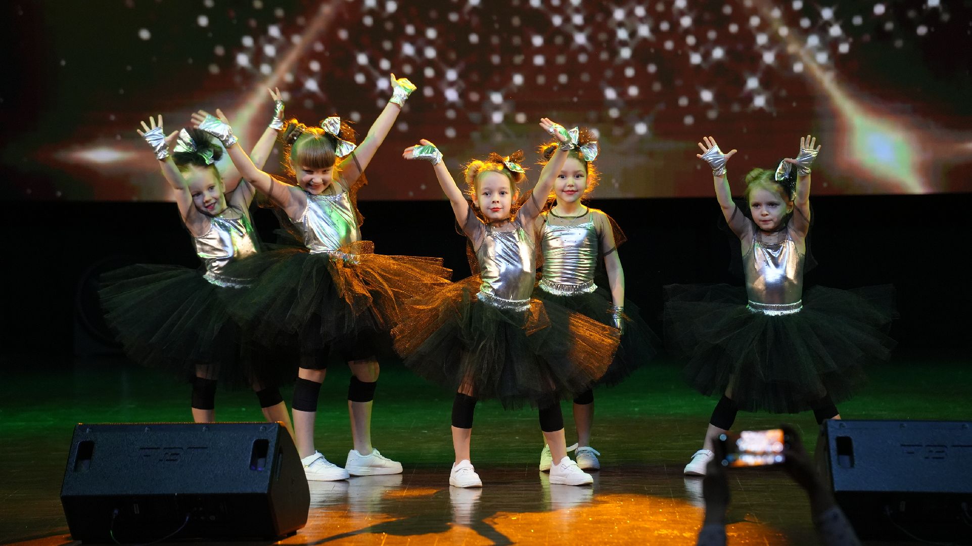 концерт, творческие коллективы, активное долголетие,