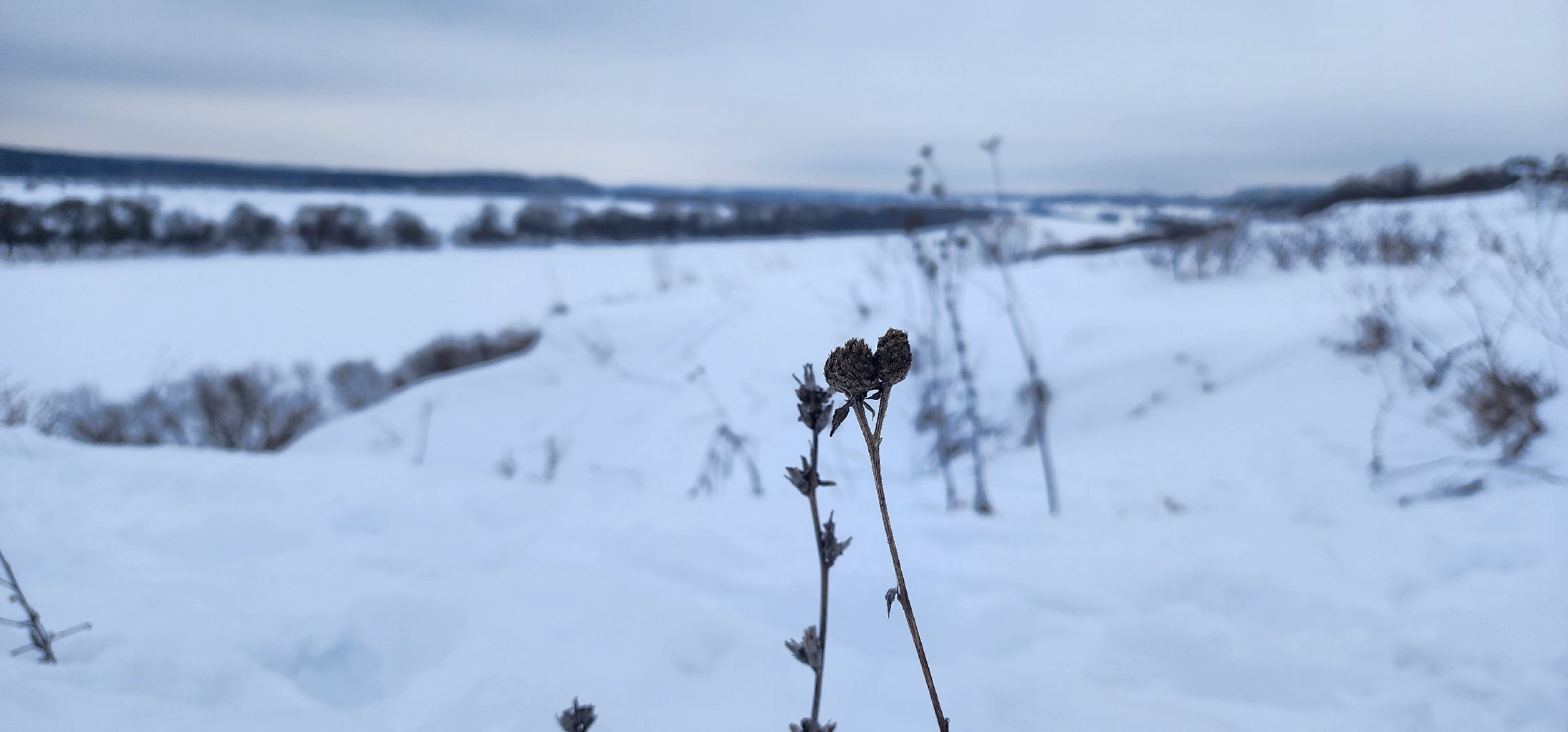 Коломна, туризм, поход, лыжи,