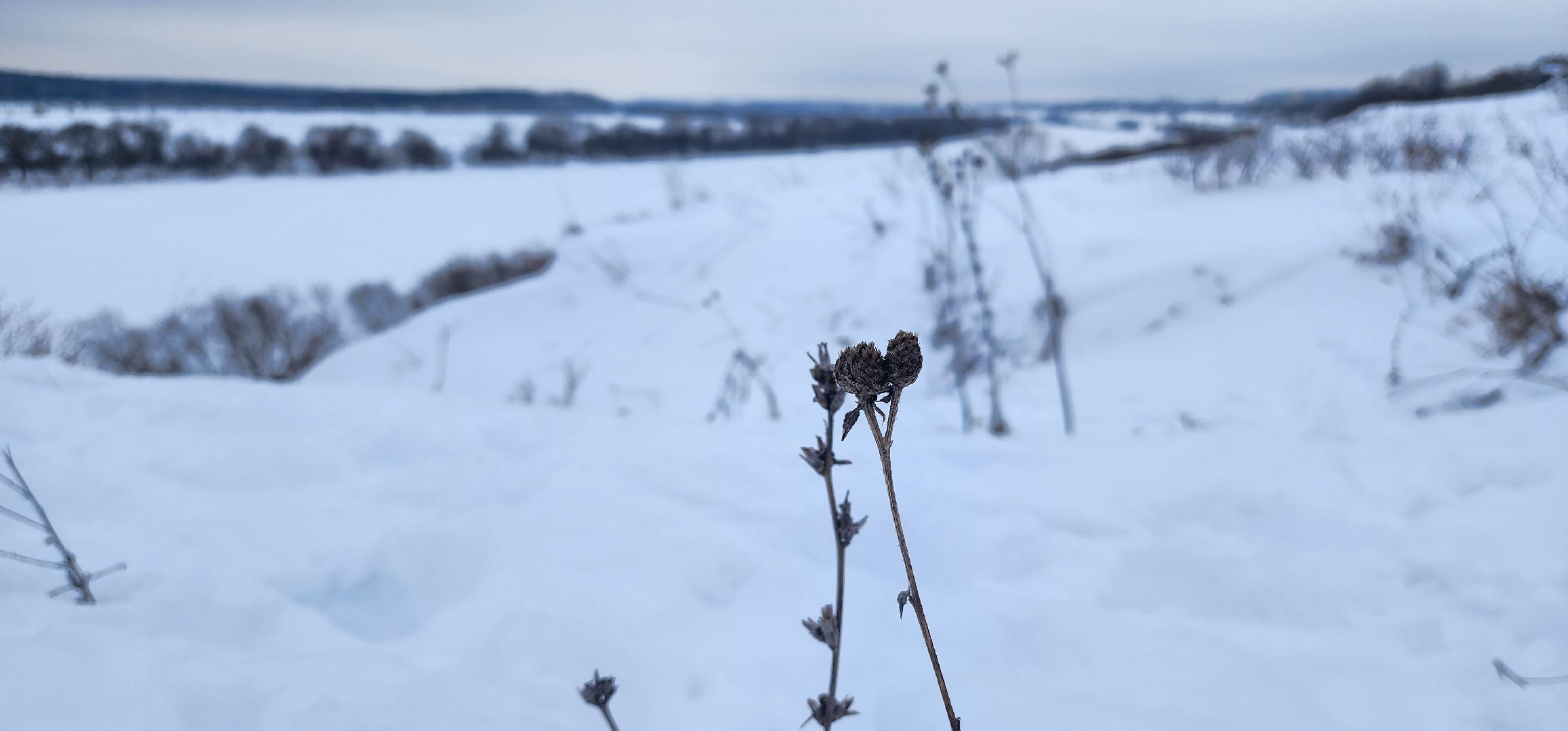 Коломна, туризм, поход, лыжи,