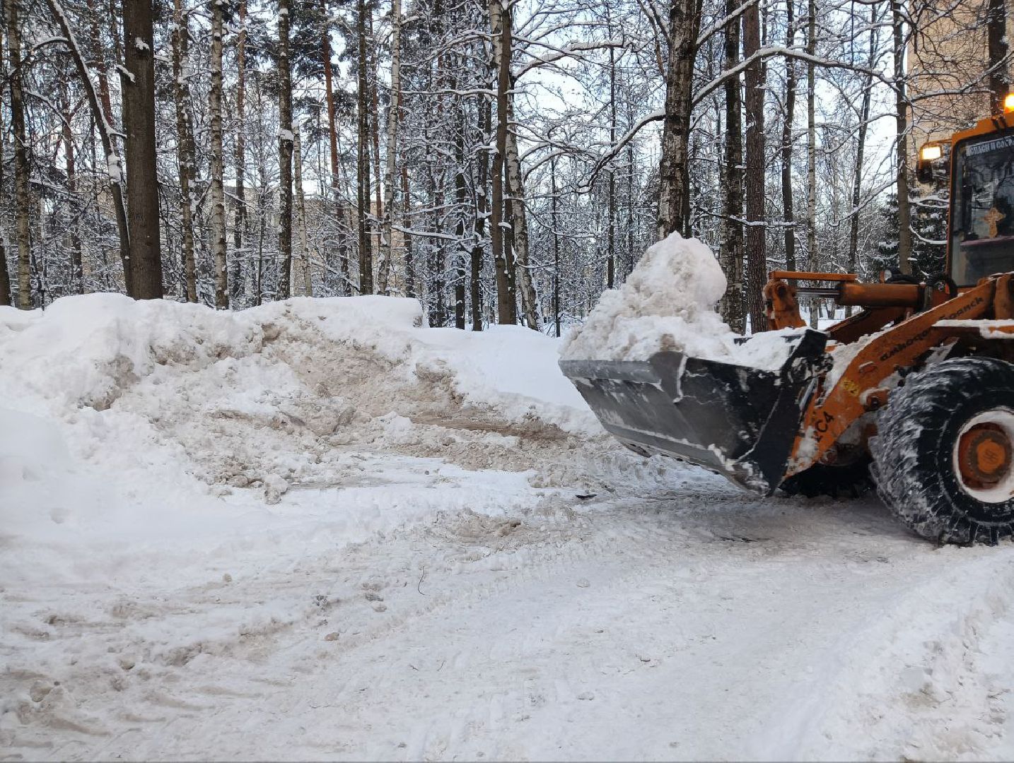 пушкино, снег, циклон ольга, уборка дворов, уборка снега,