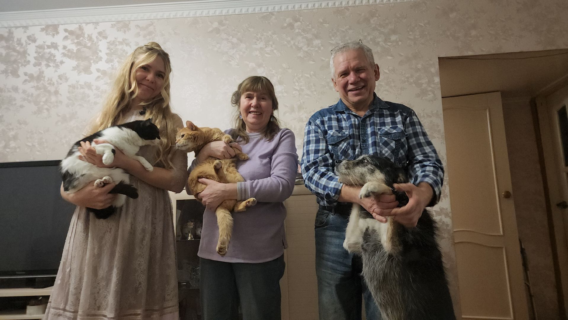 Серпухов, Подмосковье, Трынкины, конструктор, новая жизнь животных, собаки, кошки, мастер,