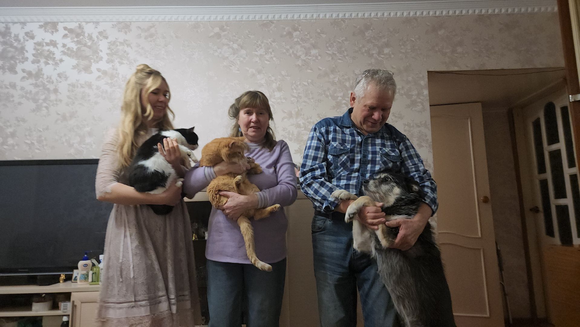 Серпухов, Подмосковье, Трынкины, конструктор, новая жизнь животных, собаки, кошки, мастер,