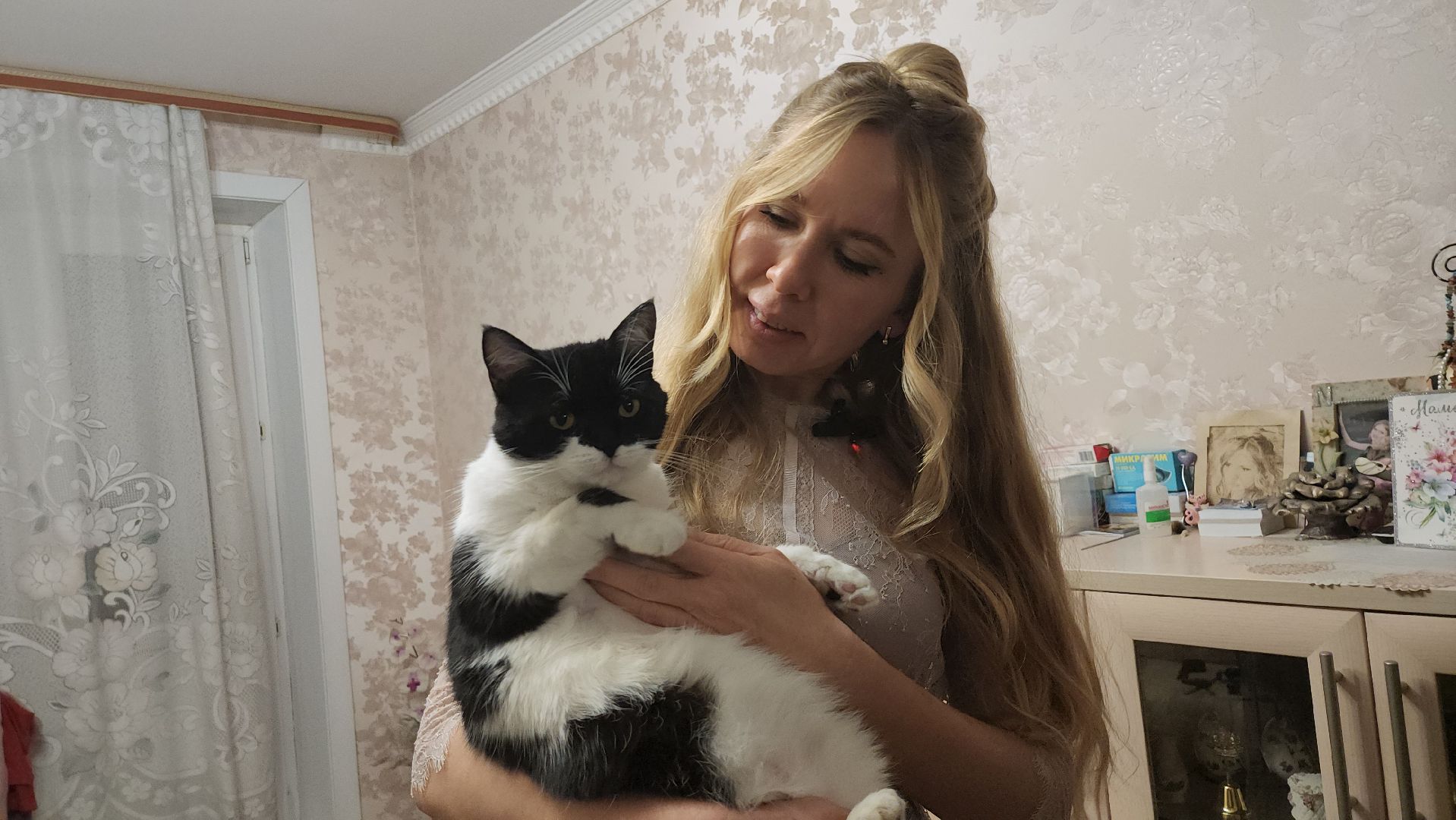 Серпухов, Подмосковье, Трынкины, конструктор, новая жизнь животных, собаки, кошки, мастер,