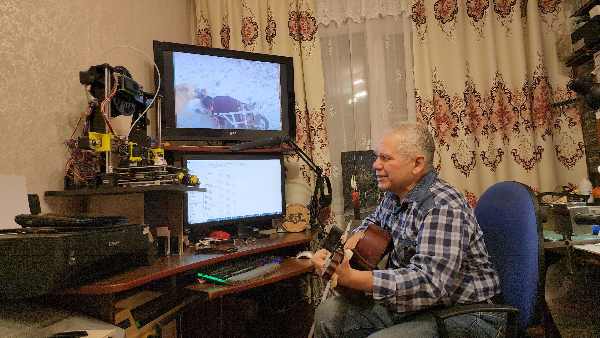 Серпухов, Подмосковье, Трынкины, конструктор, новая жизнь животных, собаки, кошки, мастер,