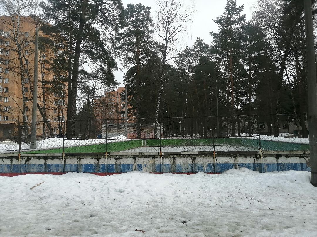 хоккей, Протвино, спорт, благоустройство