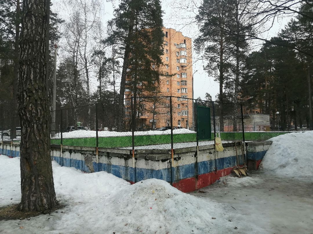 хоккей, Протвино, спорт, благоустройство