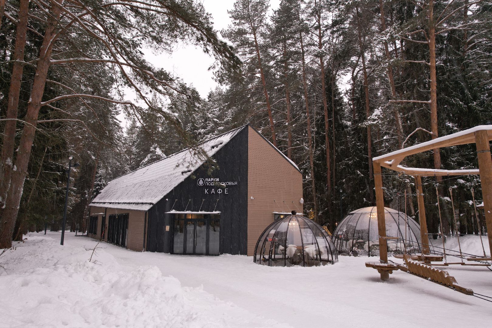 видео с коптера, благоустройство, парки, истра,