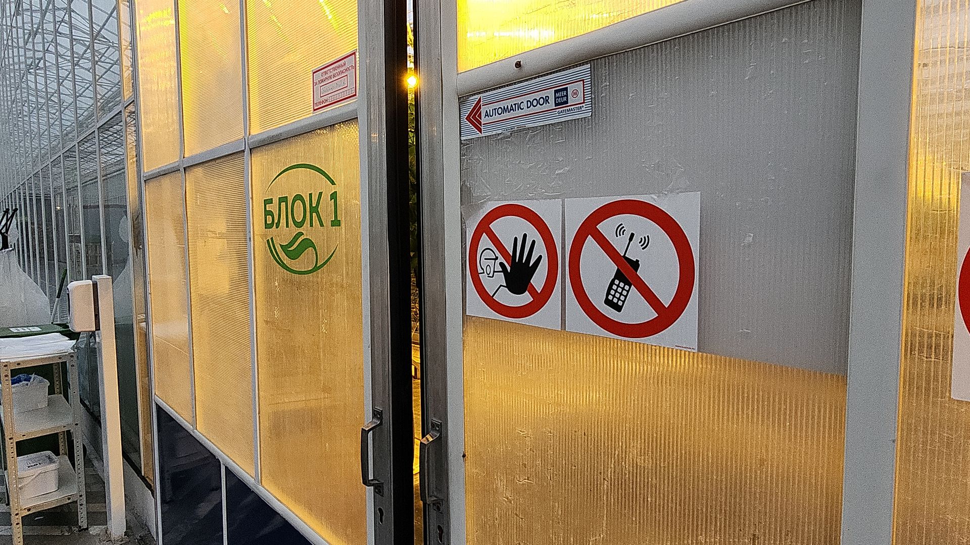 экономика, экономика округа, электросталь, мой город, овощи, овощеводство, теплицы, агрокомплекс, агрокластер, агроном, жители города,