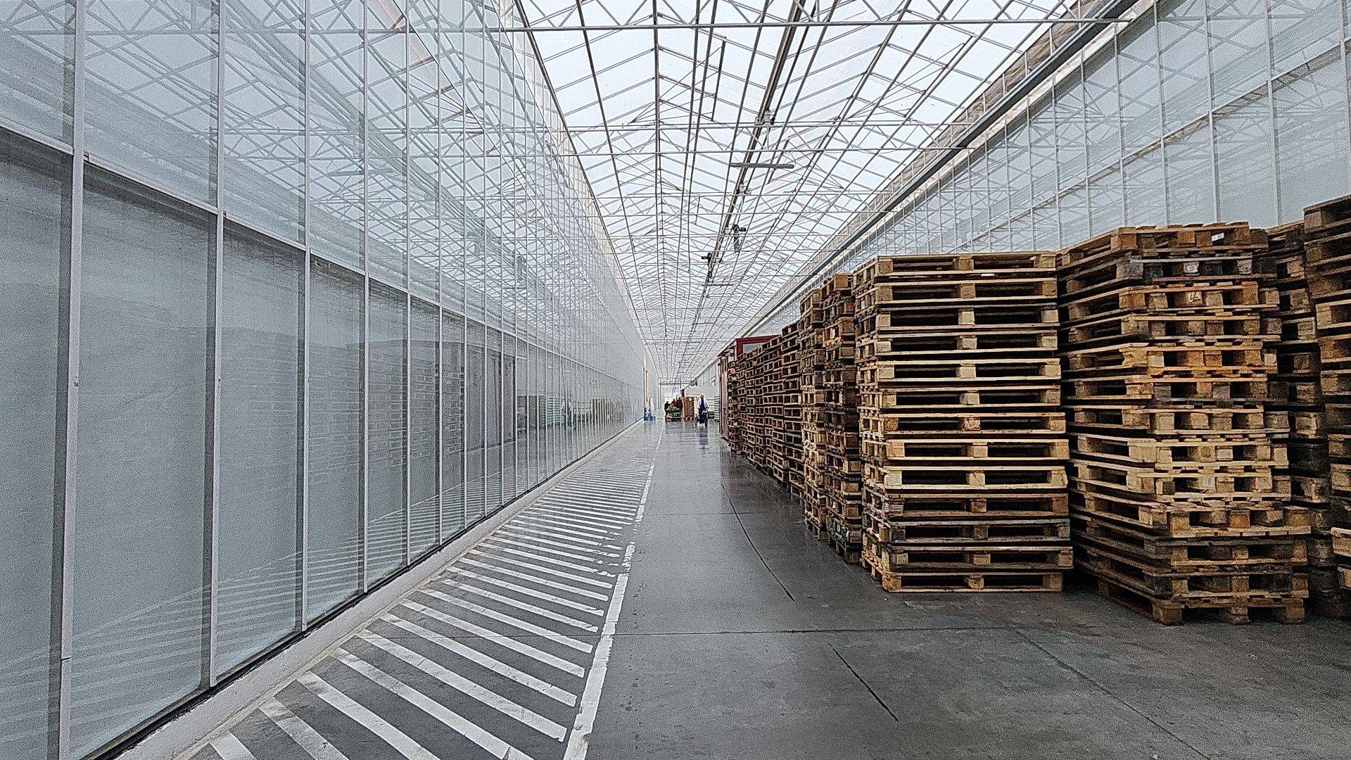 экономика, экономика округа, электросталь, мой город, овощи, овощеводство, теплицы, агрокомплекс, агрокластер, агроном, жители города,