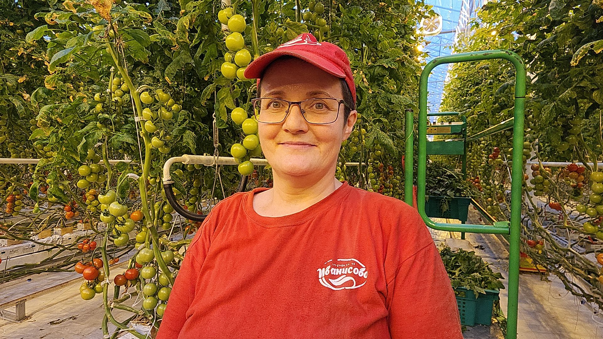 экономика, экономика округа, электросталь, мой город, овощи, овощеводство, теплицы, агрокомплекс, агрокластер, агроном, жители города,