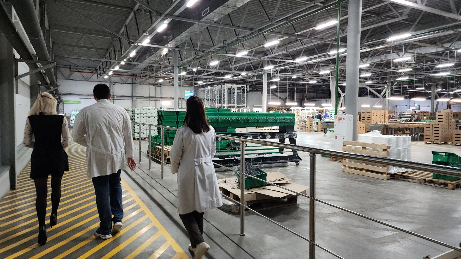 экономика, экономика округа, электросталь, мой город, овощи, овощеводство, теплицы, агрокомплекс, агрокластер, агроном, жители города,