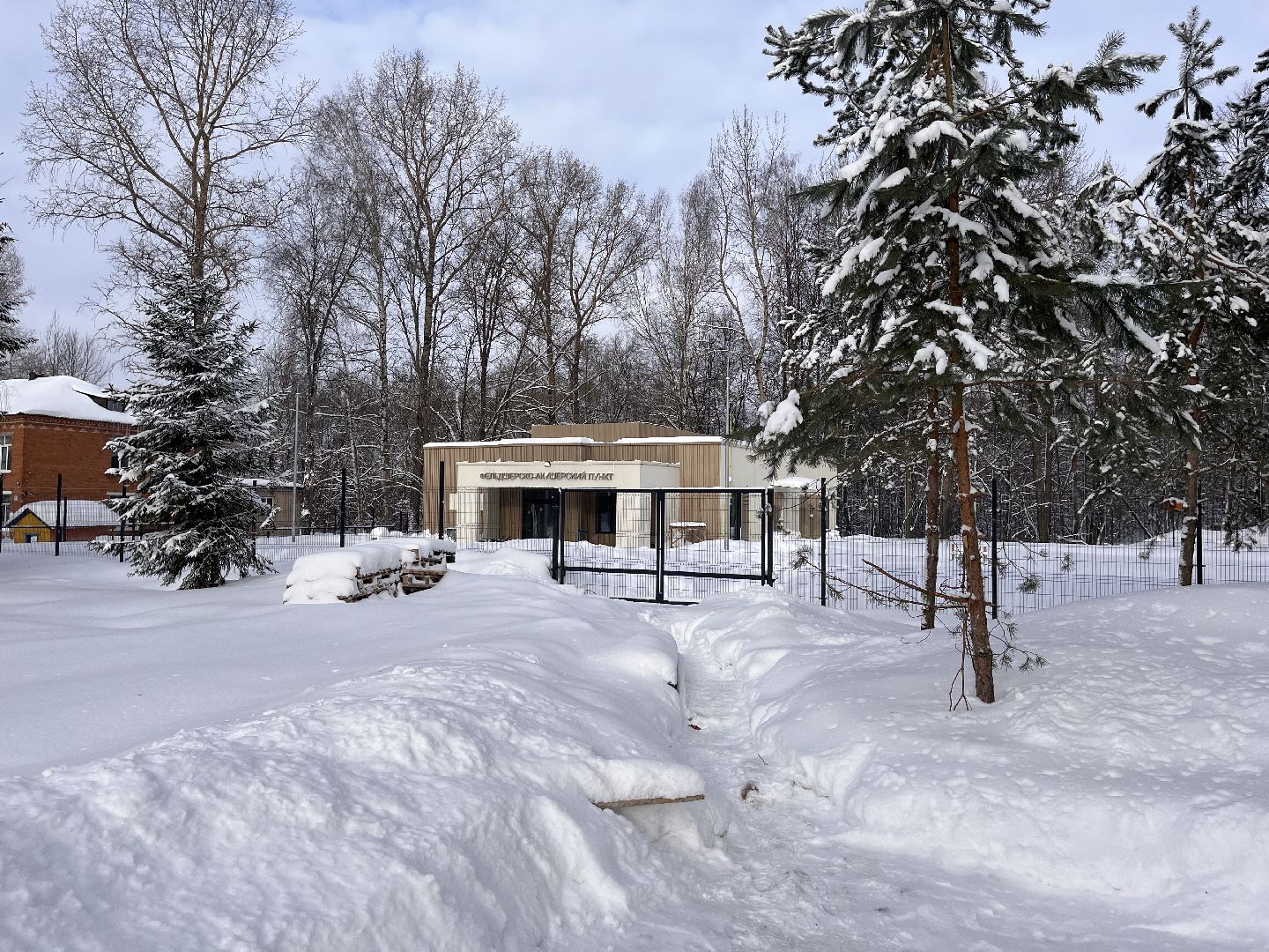 фап, фельдшер, медучреждения, строительство,