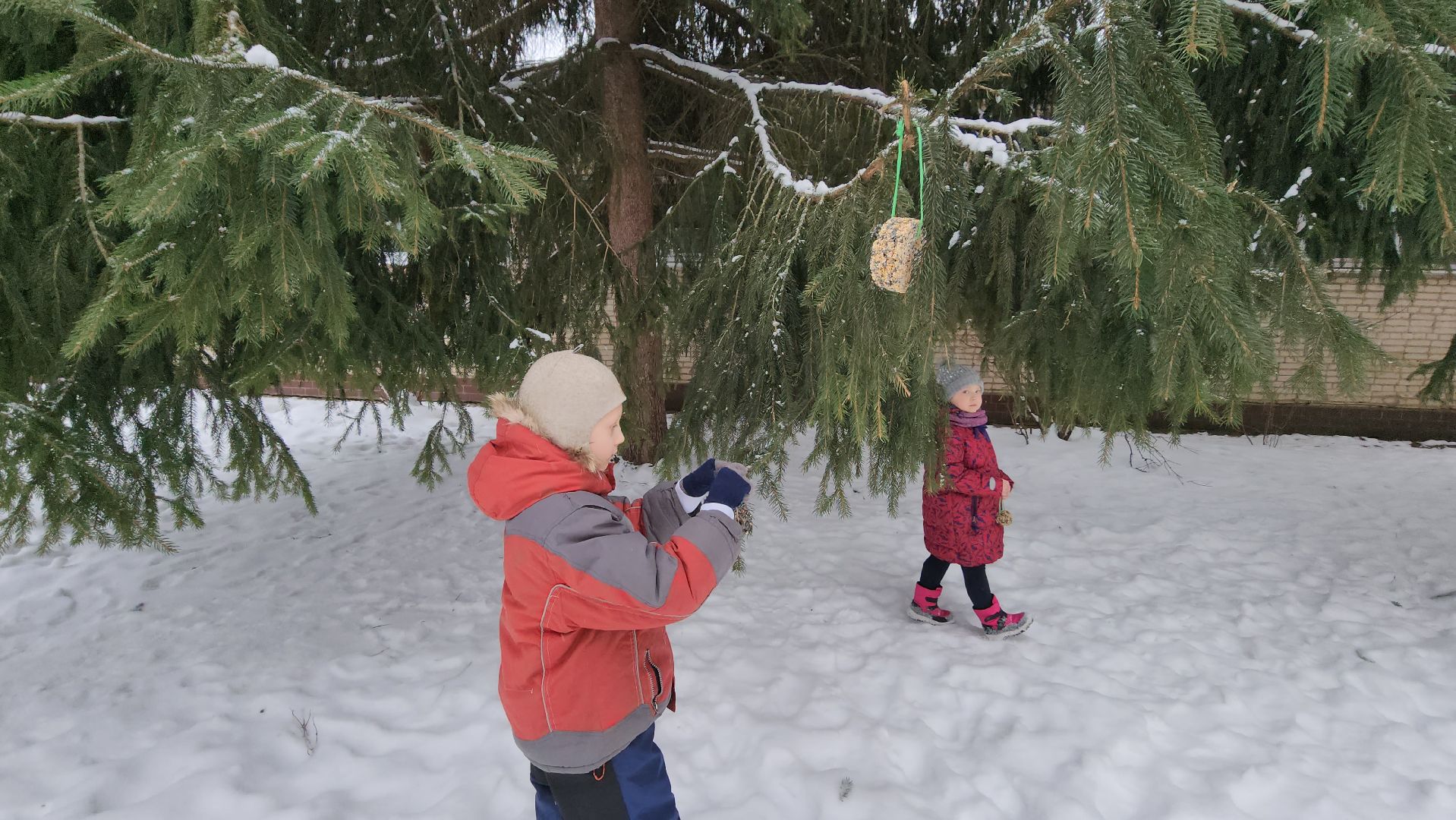 серпухов, гимназия №1, покормите птиц зимой, кормушка для птиц, акция, экология,