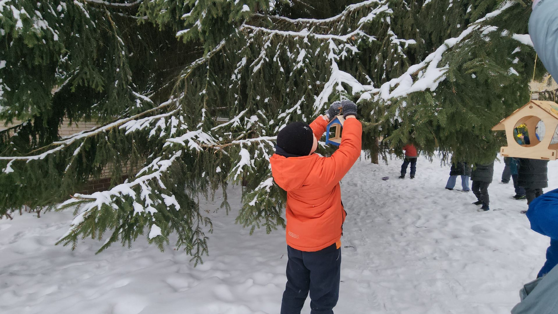 серпухов, гимназия №1, покормите птиц зимой, кормушка для птиц, акция, экология,