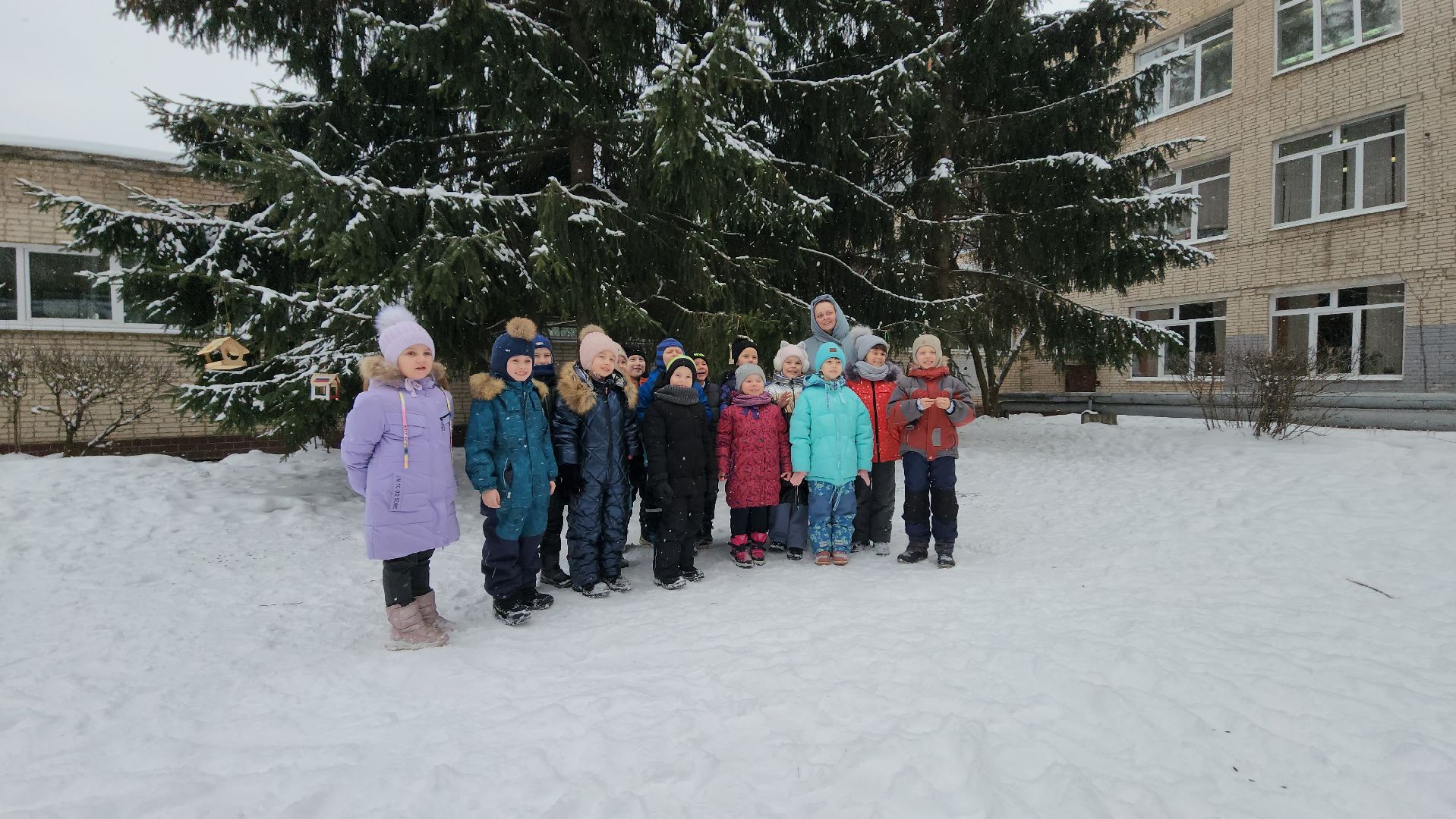 серпухов, гимназия №1, покормите птиц зимой, кормушка для птиц, акция, экология,