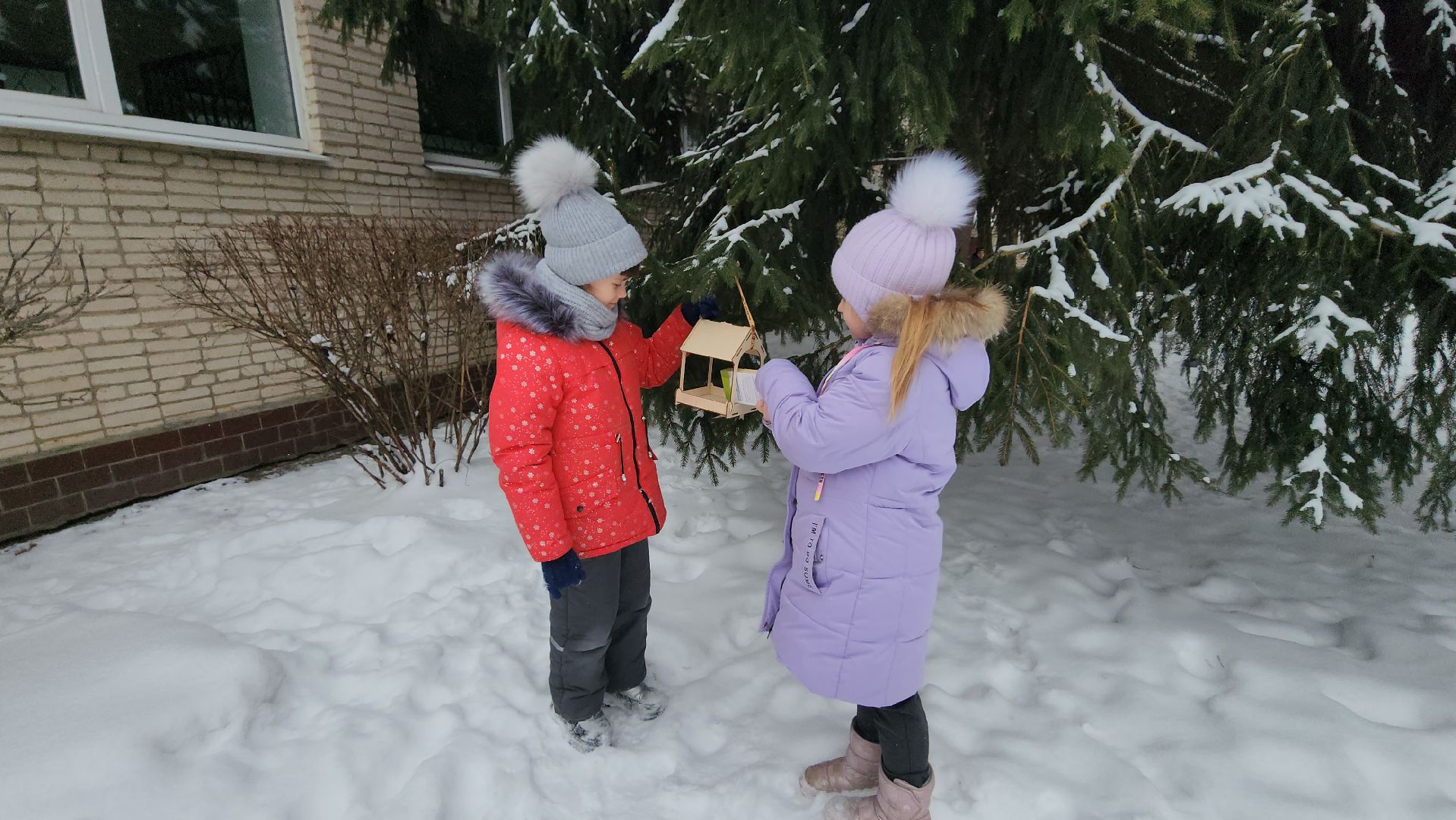 серпухов, гимназия №1, покормите птиц зимой, кормушка для птиц, акция, экология,