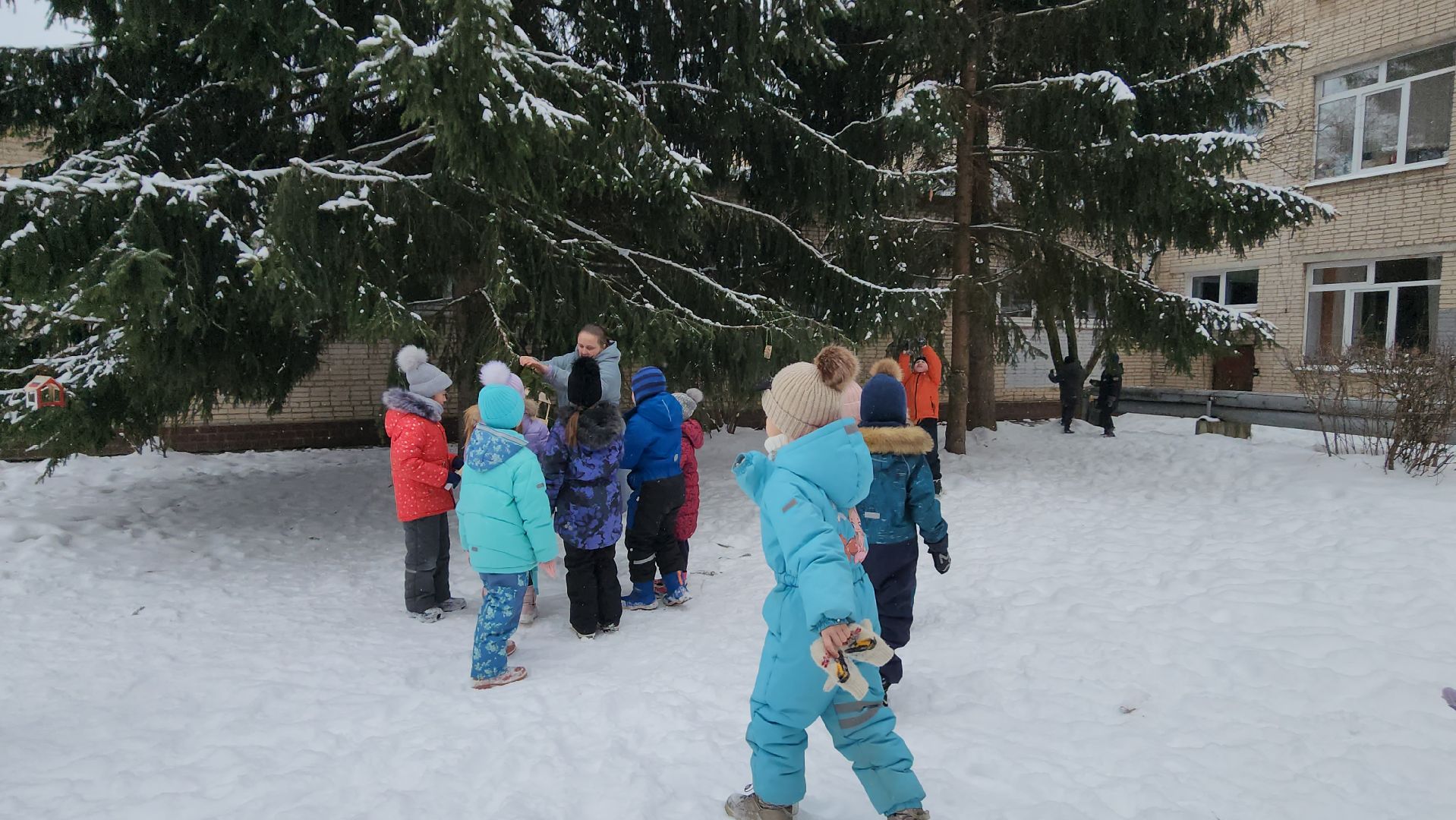 серпухов, гимназия №1, покормите птиц зимой, кормушка для птиц, акция, экология,