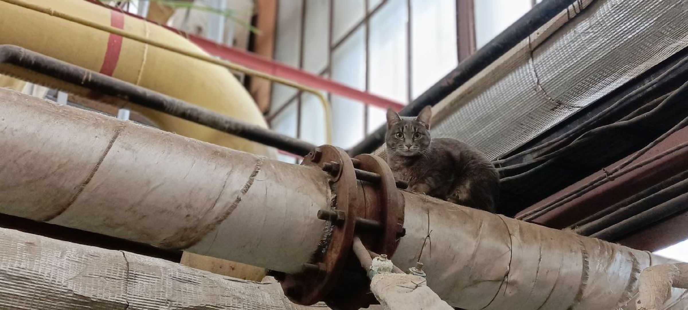 Дмитров, Яхрома, Котельная на улице Ленина, МинЖКХ,