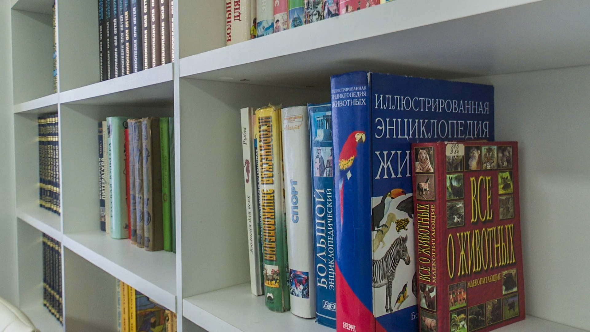 Клин, общество, дети, библиотеки, образование, культура,