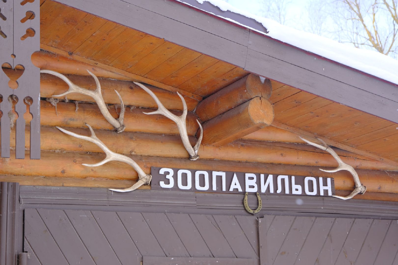 пущино, серпухов, экология, животные, красная книга, беременность,