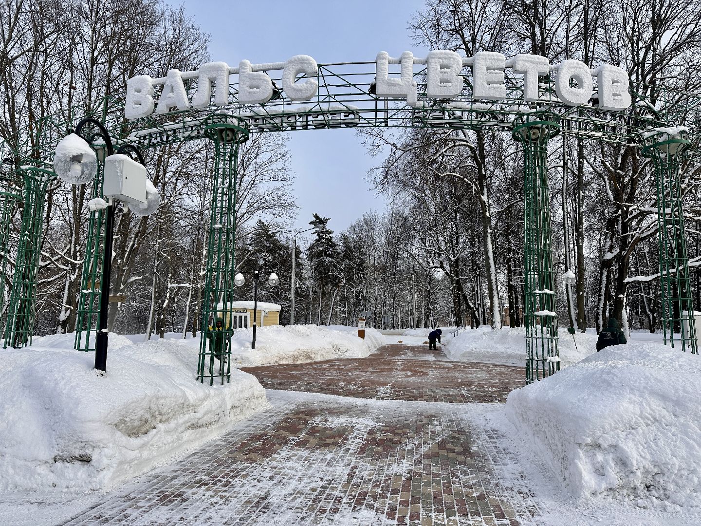 Клин, общество, снег, уборка снега, парки,