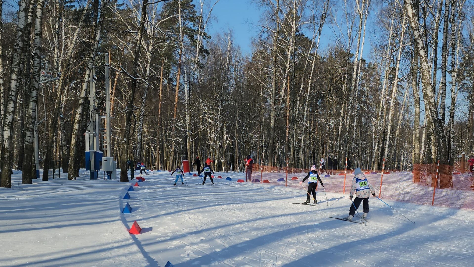Подольск, лыжные гонки, Подольские курсанты, Дубровицкий лес,