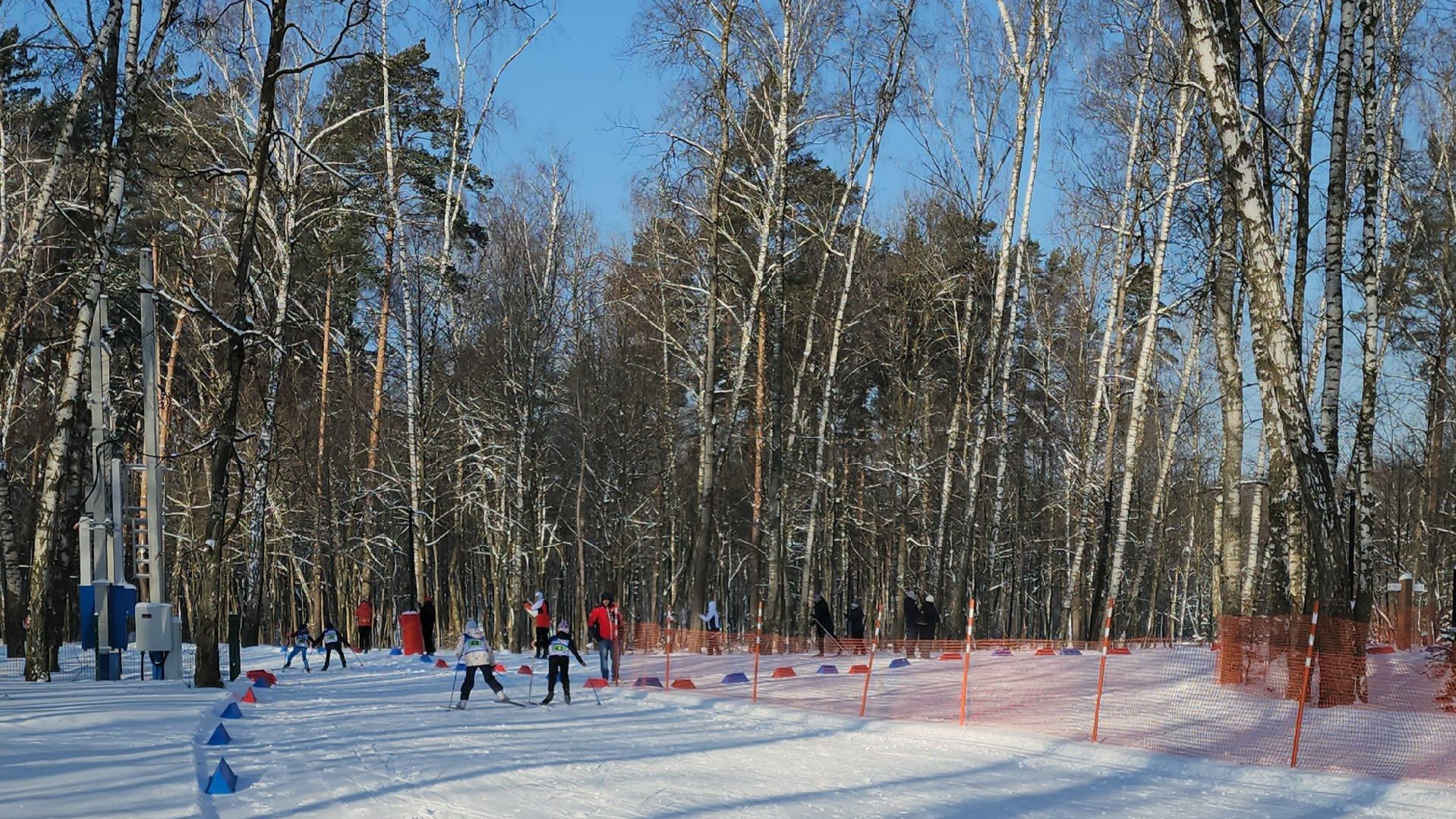 Подольск, лыжные гонки, Подольские курсанты, Дубровицкий лес,