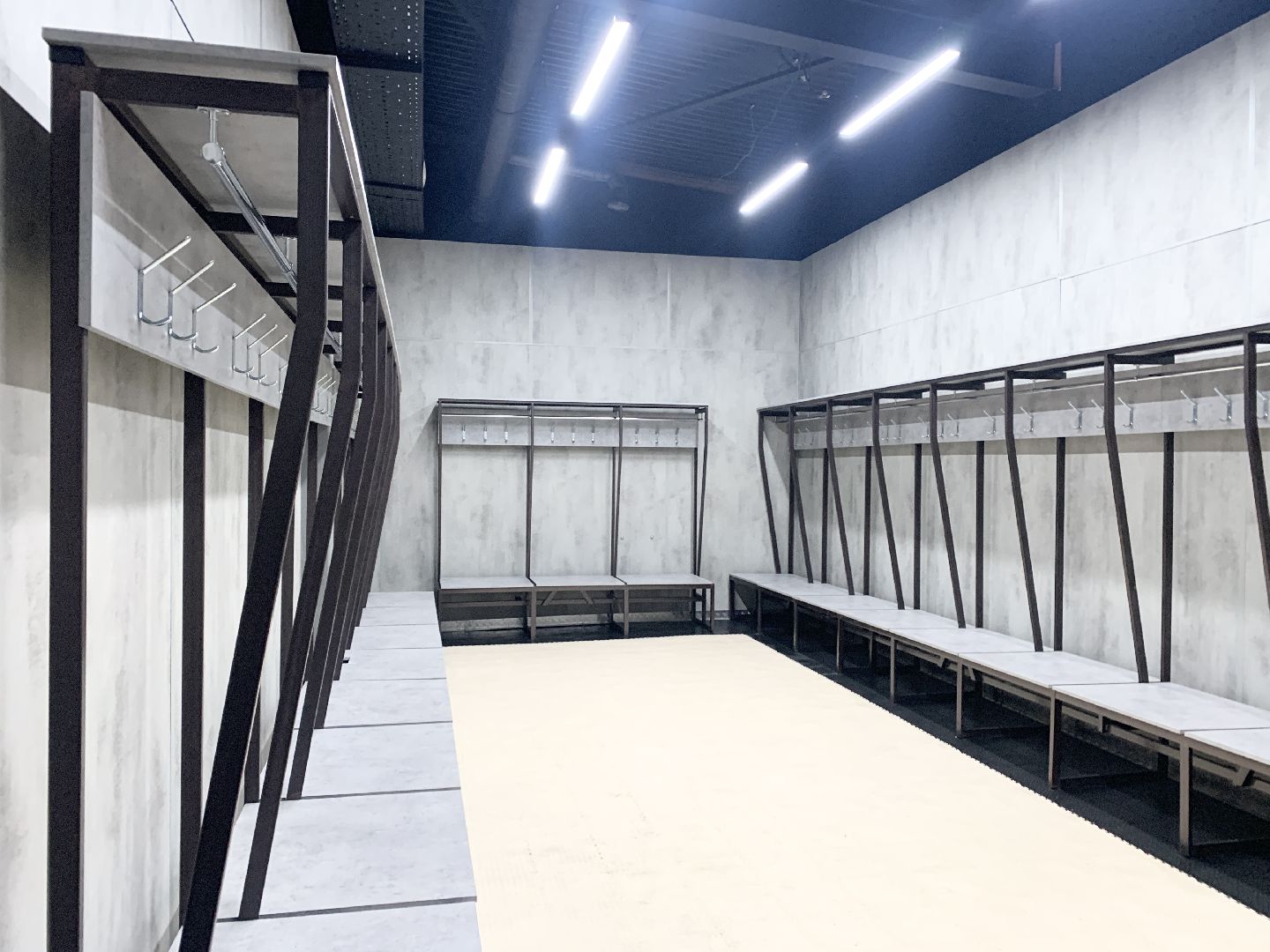 Балашиха, Подмосковье, Спорт, Ледовая арена,