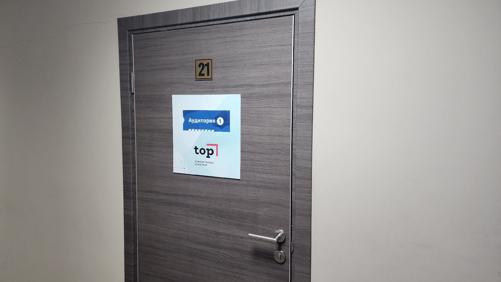 академия ТОР, python, turtle, Айрамян, Тигран, мастер-класс, програмирование,