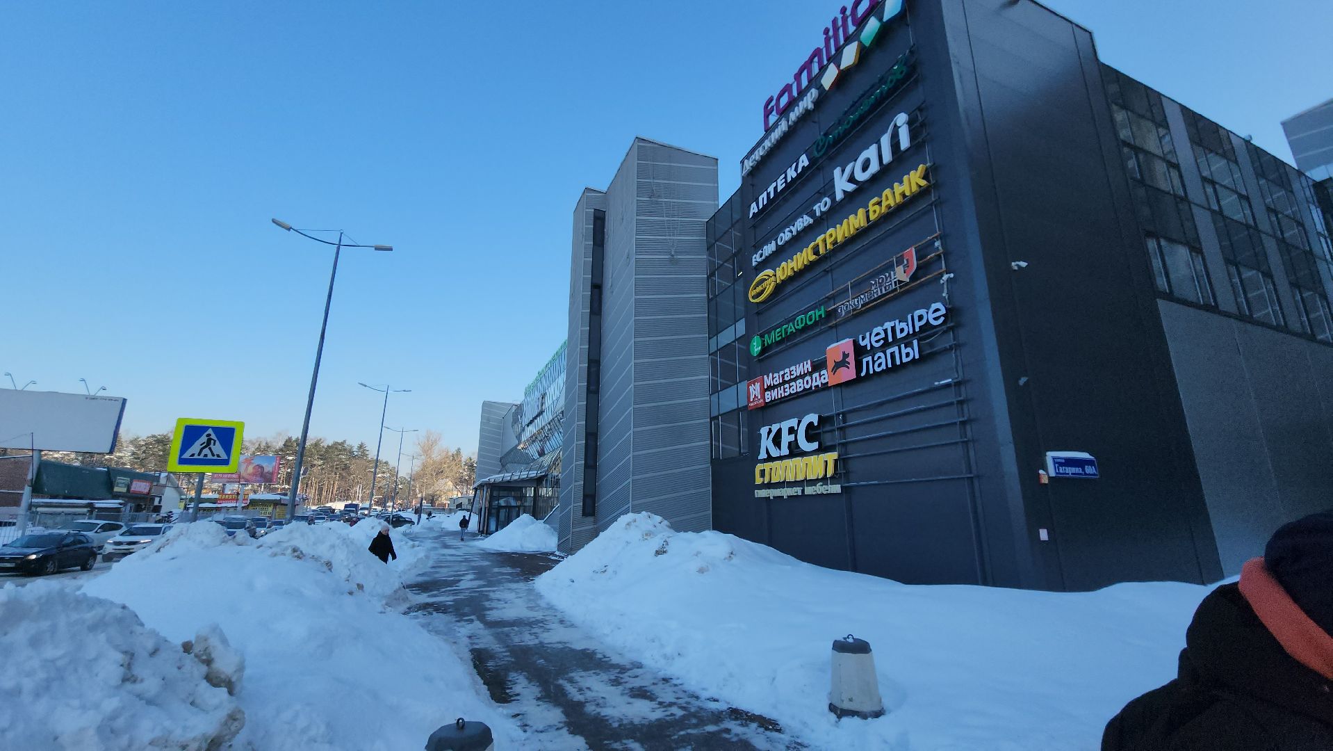 академия ТОР, python, turtle, Айрамян, Тигран, мастер-класс, програмирование,