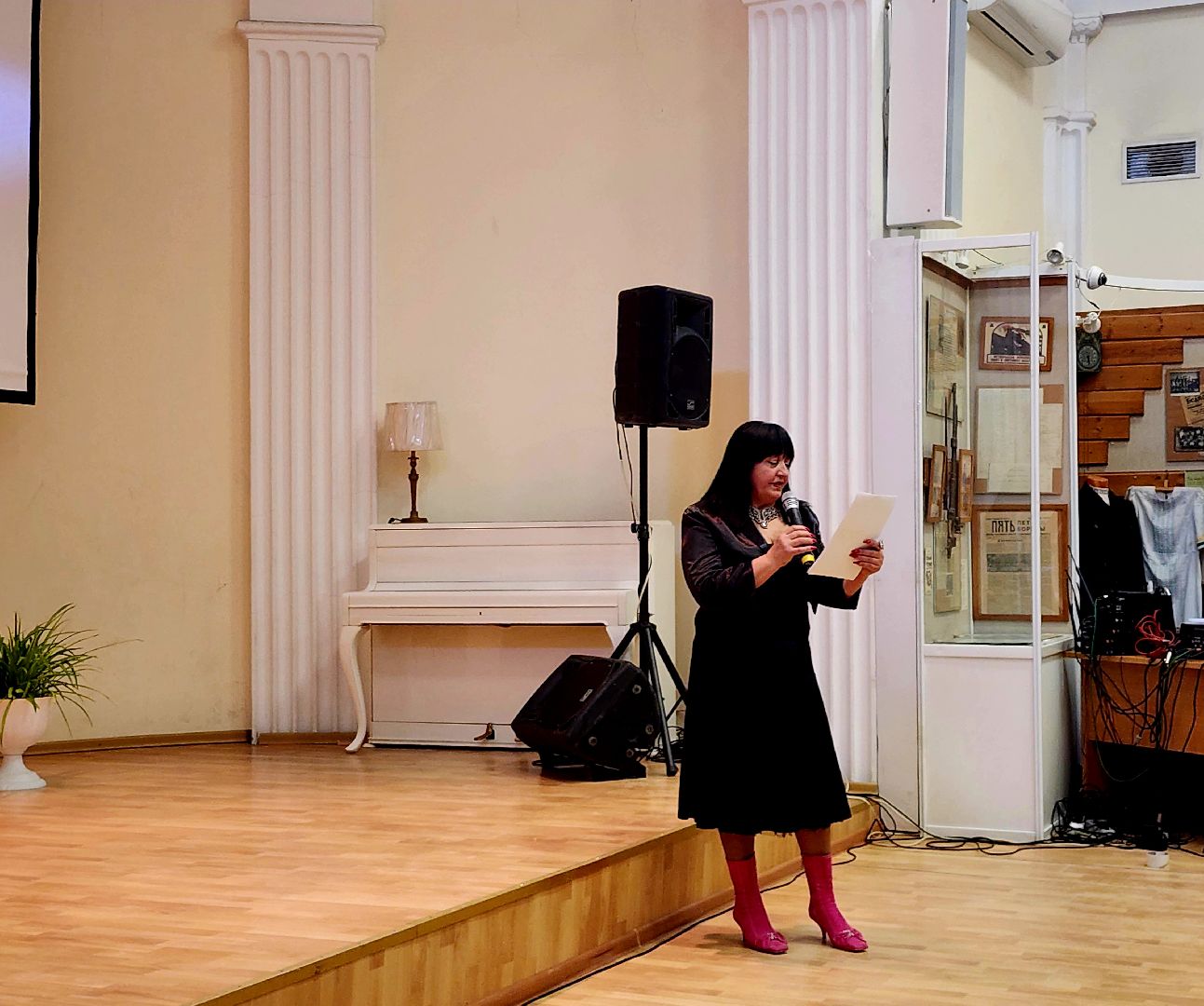 артисты в поддержку бойцов СВО, видное, патриотический концерт, культура,