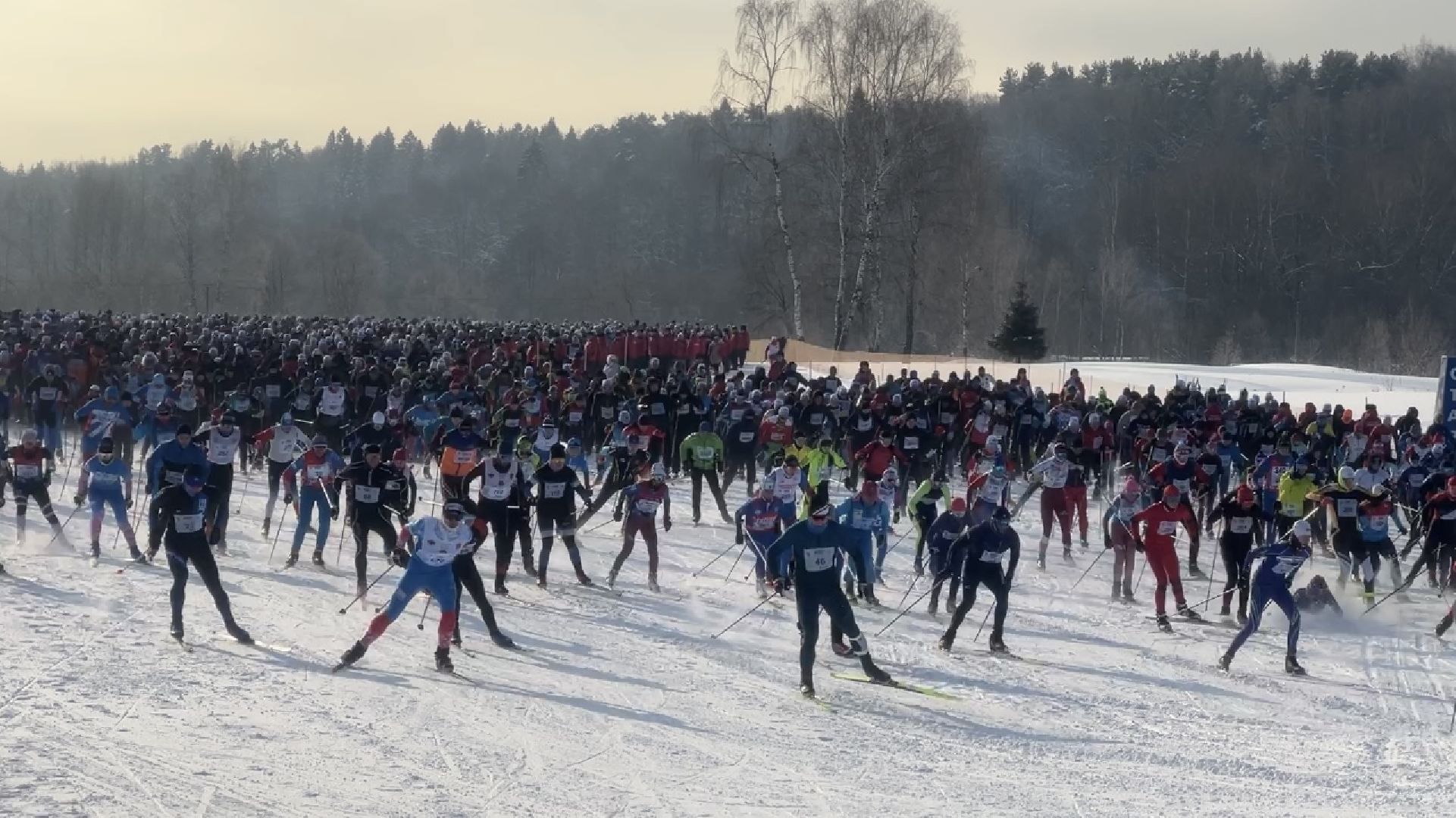 химки, лыжня россии, спорт, лыжные гонки,