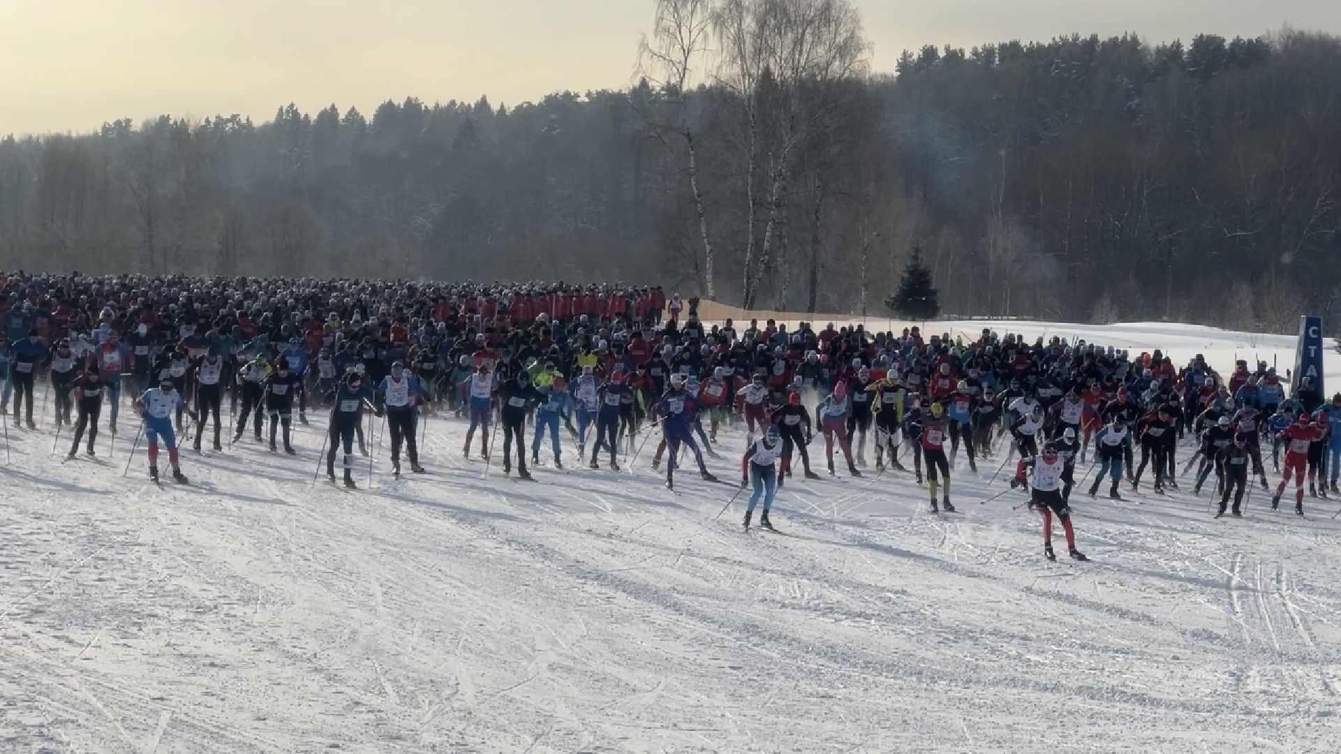 химки, лыжня россии, спорт, лыжные гонки,
