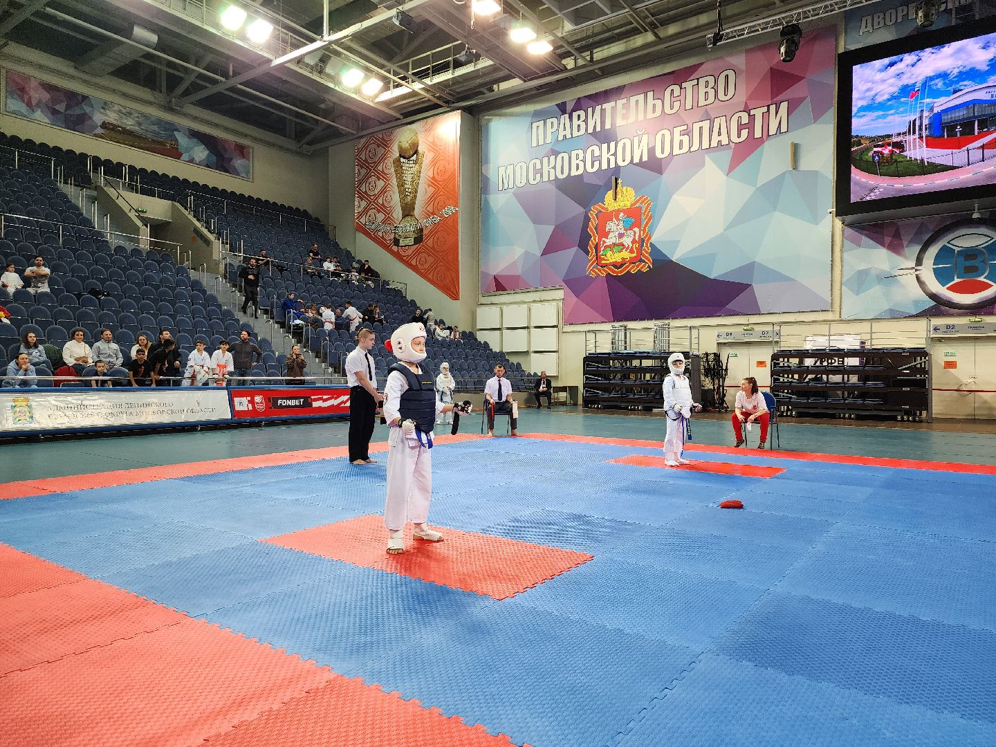 спорт ленинского, спорт в подмосковье,