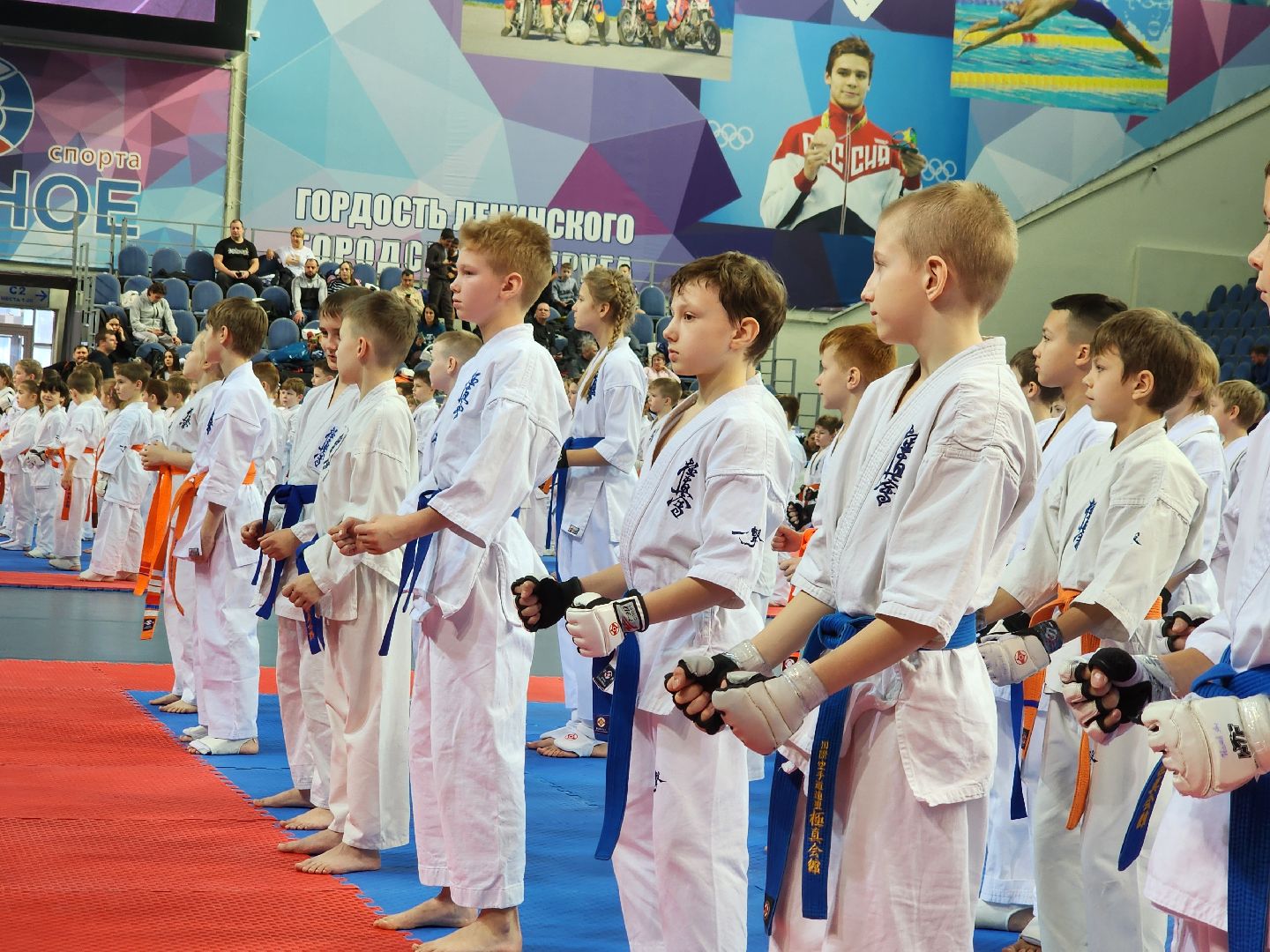 спорт ленинского, спорт в подмосковье,