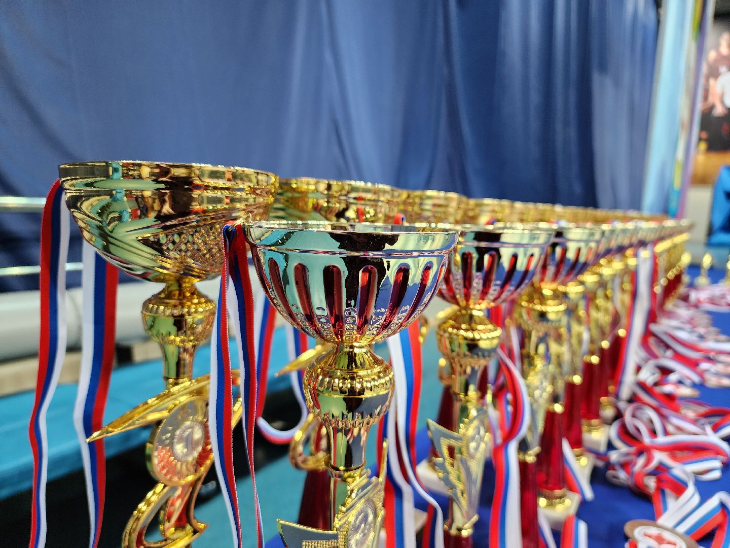 спорт ленинского, спорт в подмосковье,