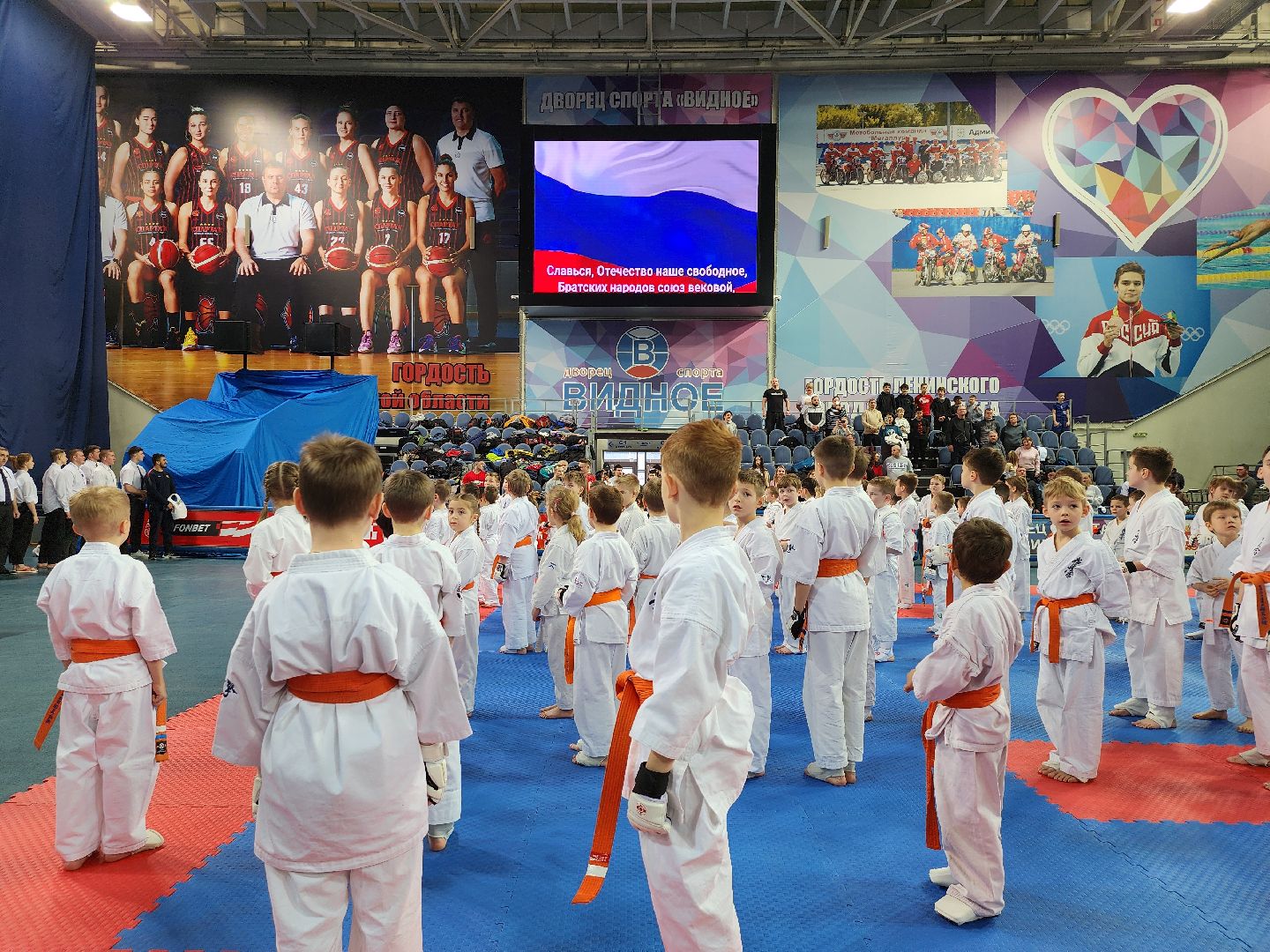 спорт ленинского, спорт в подмосковье,