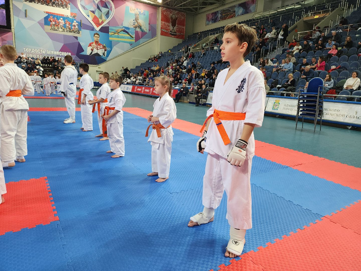 спорт ленинского, спорт в подмосковье,