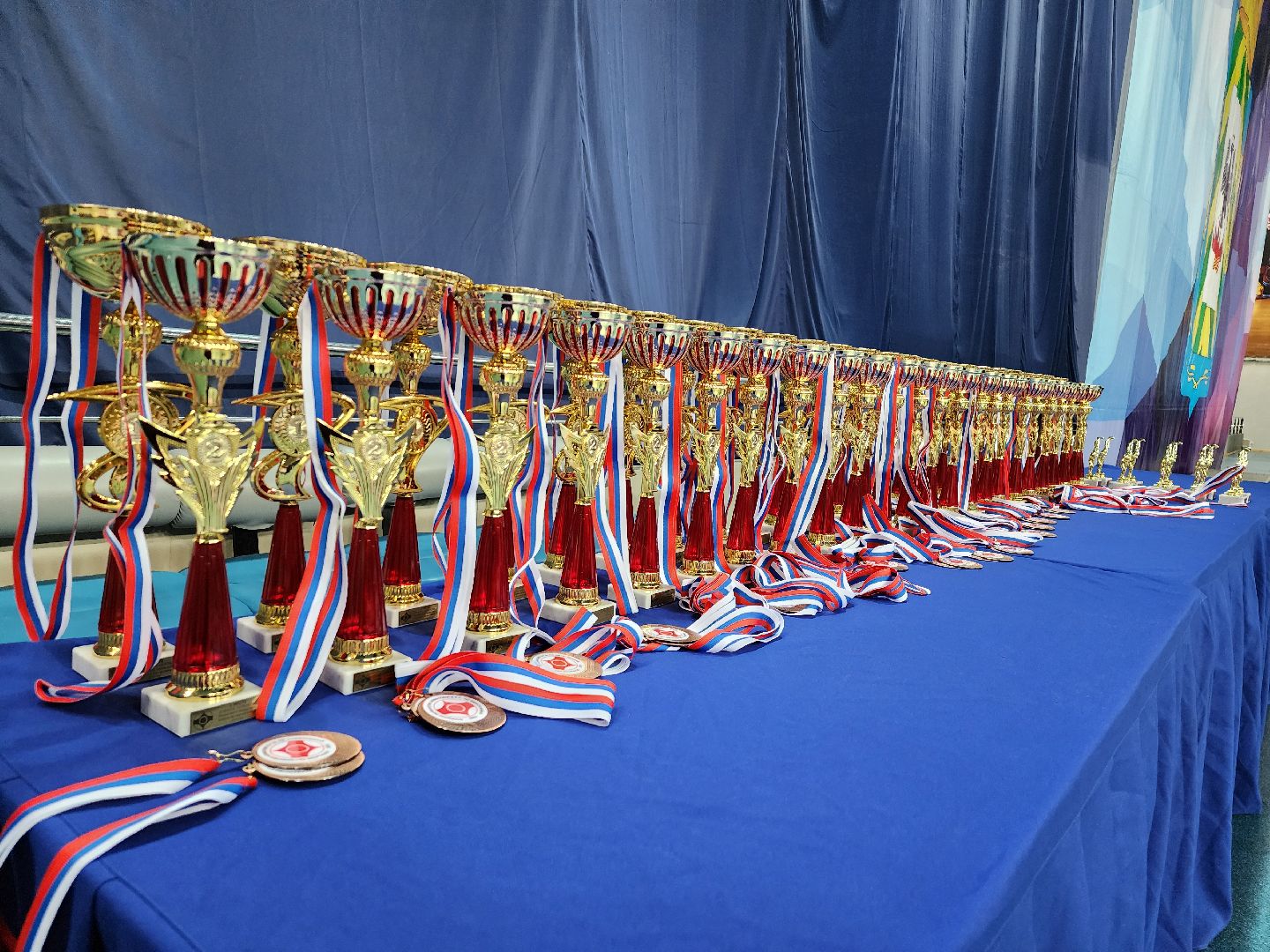 спорт ленинского, спорт в подмосковье,